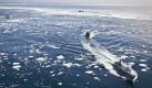 In this photo released by Sea Shepherd Conservation Society's ships and an inflatable boat chase down a Japanese whaling ship, bottom right, in the Southern Ocean off Antarctica Saturday, Jan. 1, 2011. The anti-whaling activists were chasing the fleet in the hopes of interrupting Japan's annual whale hunt, which kills up to 1,000 whales a year. (AP Photo/Sea Shepherd, Barbara Veiga) MANDATORY CREDIT, EDITORIAL USE ONLY Foto: dapd / Sea Shepherd, Barbara Veiga