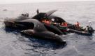 A handout photograph made available by the Sea Shepherd Conservation Society, shows anti-whaling protest vessel, the Ady Gil with signs of damage following a confrontation with Japanese whaling vessel the Nisshin Maru in Australia's Antarctic Waters, 06 January 2010. An anti-whaling protest ship was taking on water after colliding with a security vessel of the Japanese whaling fleet in the Antarctic, the Sea Shepherd Conservation Society's leader said 06 January. Paul Watson said five of the six crew members aboard the high-speed trimaran were rescued and taken aboard an accompanying protest ship, the Bob Barker. The captain stayed with the 1.5-million-US-dollar Ady Gil, in the hope of saving it from sinking. EPA/SEA SHEPHERD CONSERVATION SOCIETY/HANDOUT AUSTRALIA AND NEW ZEALAND OUT EDITORIAL USE ONLY/NO SALES +++(c) dpa - Bildfunk+++
 Foto: dpa