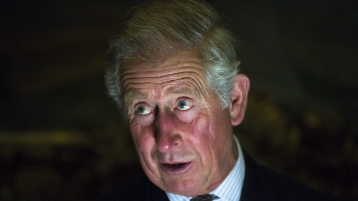 Prinz Charles ist immer für einen Schnappschuss gut.