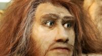 Die Neandertaler erleichterten sich das Leben unter anderem dadurch, dass sie Werkzeug mit Henkel versahen.
