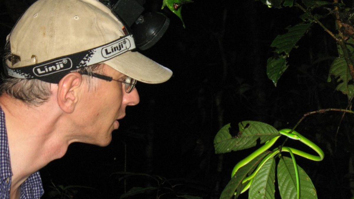 Biologe Ulmar Grafe nimmt die ICE-Schlange im Regenwald von Brunei in Augenschein. (Foto)
