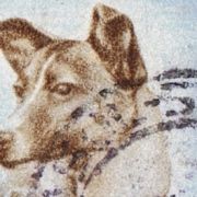 Besondere Berühmtheit erlangte in diesem Zusammenhang 1957 die Hündin Laika. Sie war das erste Lebewesen, das in eine Umlaufbahn geschickt worden ist. Besondere Berühmtheit erlangte in diesem Zusammenhang 1957 die Hündin Laika. Sie war das erste Lebewesen, das in eine Umlaufbahn geschickt worden ist.