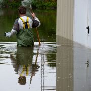 Wenige Tage nach Pfingsten hat das Hochwasser aus Polen Brandenburg erreicht. Sven Gumprecht steht am Donnerstag in einer Wathose im Hochwasser in Frankfurt (Oder). Wenige Tage nach Pfingsten hat das Hochwasser aus Polen Brandenburg erreicht. Sven Gumprecht steht am Donnerstag in einer Wathose im Hochwasser in Frankfurt (Oder).