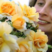 In freundlichem Gelb erstrahlt die Alix de Vergy, die Rosenfreunde 2007 in Baden-Baden zur Schönheitskönigin kürten. In freundlichem Gelb erstrahlt die Alix de Vergy, die Rosenfreunde 2007 in Baden-Baden zur Schönheitskönigin kürten.