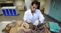 Christof Schomerus, Anatomie-Professor in Frankfurt, braucht Körperspender, um seine Studenten zu Ärzten zu machen.