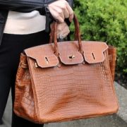 Wer schön und reich ist, kann seinen Schotter getrost in teure Taschen investieren - vor allem, wenn sie so schön auffällig sind wie die Birkin-Bag von Hermès. Wer schön und reich ist, kann seinen Schotter getrost in teure Taschen investieren - vor allem, wenn sie so schön auffällig sind wie die Birkin-Bag von Hermès.
