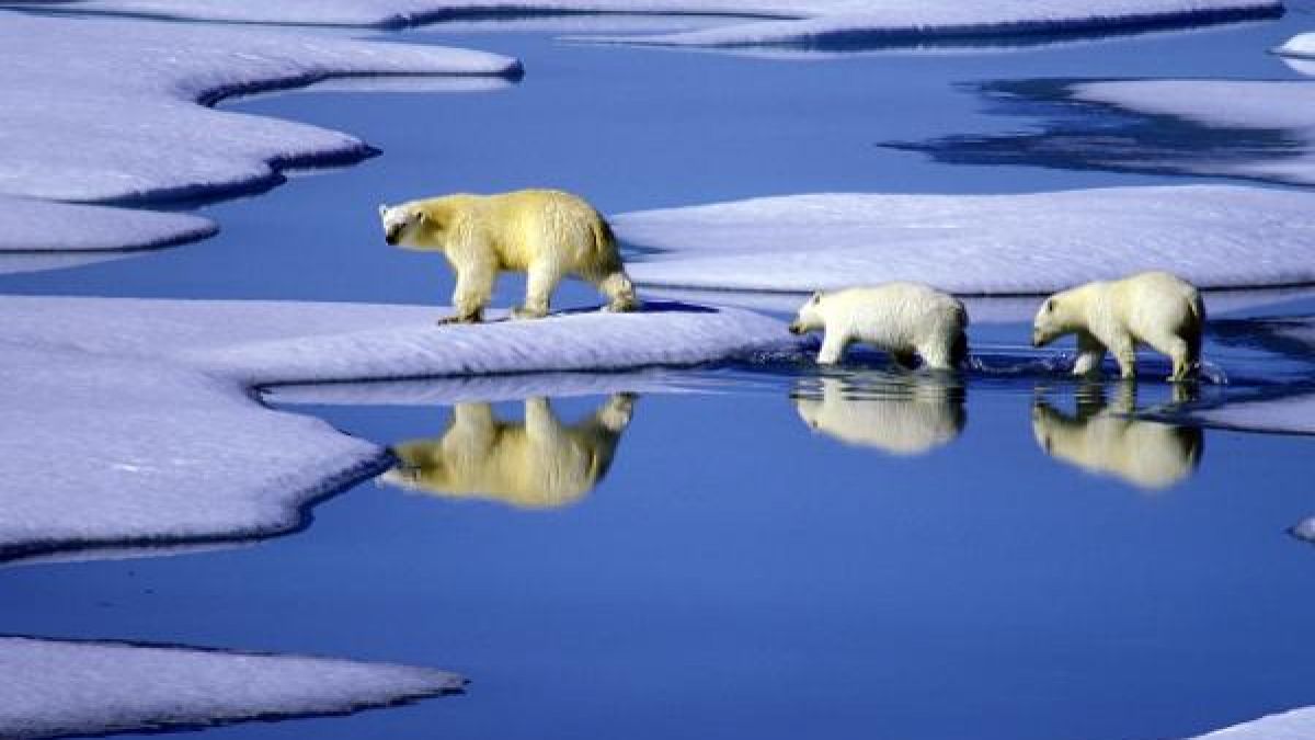 Bisher gab es vor allem Tiere, Kälte und Eis: Doch in den lebensfeindlichen Polargebieten beginnt nun der menschliche Wettlauf um Rohstoffe. (Foto)
