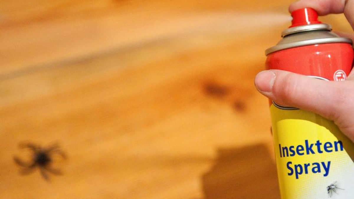 Wenn das M&uuml;sli krabbelt: Tipps gegen Ungeziefer (Foto)