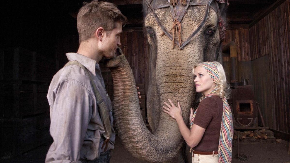 Elefantenkuh Rosie, Robert Pattinson und Reese Witherspoon: Tierquälerei nicht nur auf der Leinwand? (Foto)