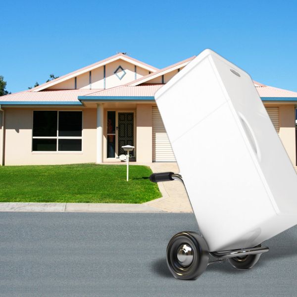 Muss der Kühlschrank ruhen? Transport stehend oder liegend?
