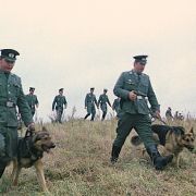 Im Film sucht eine Mannschaft der Volkspolizei nach dem vermissten Jungen. Im Film sucht eine Mannschaft der Volkspolizei nach dem vermissten Jungen.