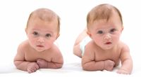 Bei der künstlichen Befruchtung ist die Wahrscheinlichkeit, Zwillinge zu bekommen, deutlich höher als bei einer natürlichen Schwangerschaft.  