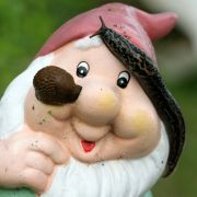 Schnecken gelten gemeinhin als zweigeschlechtlich. Kein Wunder also, dass auch ihr Liebesakt mehr Akt als Liebe ist. An einem Fasen hängend tauschen die Samenpäckchen aus. Die Befruchtung übernimmt dann jede Schnecke für sich. Schnecken gelten gemeinhin als zweigeschlechtlich. Kein Wunder also, dass auch ihr Liebesakt mehr Akt als Liebe ist. An einem Fasen hängend tauschen die Samenpäckchen aus. Die Befruchtung übernimmt dann jede Schnecke für sich.