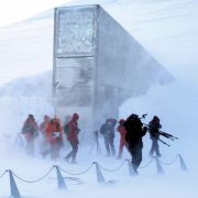 Die Arche Noah des Pflanzenlebens: Tief unter der Erde, auf der Insel Spitzbergen etwa 1000 Kilometer vom Nordpol entfernt, lagert ein Samentresor im ewigen Eis. Bis zu 4,5 Millionen Samenproben können hier gelagert werden. Die Arche Noah des Pflanzenlebens: Tief unter der Erde, auf der Insel Spitzbergen etwa 1000 Kilometer vom Nordpol entfernt, lagert ein Samentresor im ewigen Eis. Bis zu 4,5 Millionen Samenproben können hier gelagert werden.