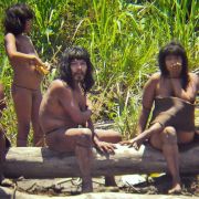 Ein Kontakt zur Außenwelt kommt für sie nicht in Frage. Eindringlinge von außen werden nicht geduldet - und notfalls auch getötet. Vehement verteidigt der Indianerstamm der Mashco-Piro sein Land im Regenwald Perus. Ein Kontakt zur Außenwelt kommt für sie nicht in Frage. Eindringlinge von außen werden nicht geduldet - und notfalls auch getötet. Vehement verteidigt der Indianerstamm der Mashco-Piro sein Land im Regenwald Perus.