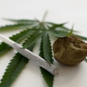 Platz 11: Die Gefährlichkeit von Cannabis sollte nicht unterschätzt werden. In geringen Dosen wirkt es euphorisierend, entspannend und schmerzstillend, in hohen Dosen führt es allerdings zu Wahnvorstellungen und Gedächtnisverlust. Platz 11: Die Gefährlichkeit von Cannabis sollte nicht unterschätzt werden. In geringen Dosen wirkt es euphorisierend, entspannend und schmerzstillend, in hohen Dosen führt es allerdings zu Wahnvorstellungen und Gedächtnisverlust.