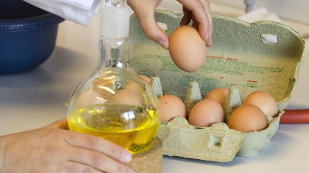 Schadstoffe in Eiern (Foto)