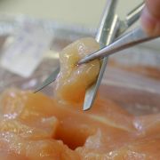 17 Dönerbuden in Berlin und Brandenburg wurden 2006 mit Gammelfleisch beliefert. 17 Dönerbuden in Berlin und Brandenburg wurden 2006 mit Gammelfleisch beliefert.