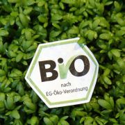 Lebensmittel fälschlich als Bioprodukte ausgewiesen. Lebensmittel fälschlich als Bioprodukte ausgewiesen.