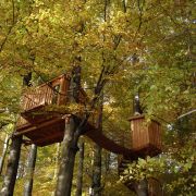 Viel Holz und einen unverbauten Blick in die Natur gibt es auch im Baumhaushotel Solling im Herzen des Weserberglandes. Vier bis fünf Meter hängen die sieben Baumhäuser in der Höhe. Viel Holz und einen unverbauten Blick in die Natur gibt es auch im Baumhaushotel Solling im Herzen des Weserberglandes. Vier bis fünf Meter hängen die sieben Baumhäuser in der Höhe.
