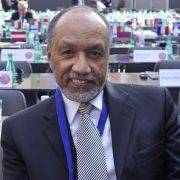 Bin Hammam, der alle Vorwürfe der Bestechung wiederholt zurückgewiesen hatte, legte gegen die Sperre vor dem Sportgerichtshof CAS Einspruch ein. Bin Hammam, der alle Vorwürfe der Bestechung wiederholt zurückgewiesen hatte, legte gegen die Sperre vor dem Sportgerichtshof CAS Einspruch ein.