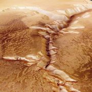 Der Wald auf dem Mars. Der Wald auf dem Mars.