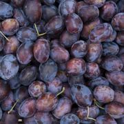 Pflaumen-Apfel-Konfitüre Pflaumen-Apfel-Konfitüre