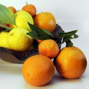 Orangen-Ingwer-Marmelade Orangen-Ingwer-Marmelade