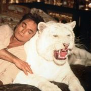 Die aufsehenerregendste Tigerattacke fand in Las Vegas statt. Die Tiger-Magier Siegfried Roy standen wie jedem Abend auf der Bühne. Doch ausgerechnet an seinem 59. Geburtstag wurde Roy von seinem Tiger Montercore angegriffen. Die aufsehenerregendste Tigerattacke fand in Las Vegas statt. Die Tiger-Magier Siegfried Roy standen wie jedem Abend auf der Bühne. Doch ausgerechnet an seinem 59. Geburtstag wurde Roy von seinem Tiger Montercore angegriffen.