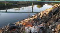 Der Riachuelo ist einer der weltweit am stärksten mit Blei, Zink und Chrom verschmutzten Flüsse.