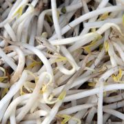 Soja ist Spermienkiller, da es viele östrogenartige Substanzen enthält, die für die Verweiblichung des Mannes sorgen. Soja ist Spermienkiller, da es viele östrogenartige Substanzen enthält, die für die Verweiblichung des Mannes sorgen.