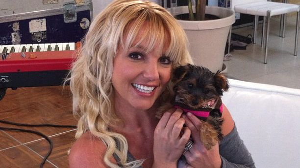So sieht Glück aus: Mit der kleinen Hannah auf dem Arm strahlt Britney Spears über beide Ohren. (Foto)