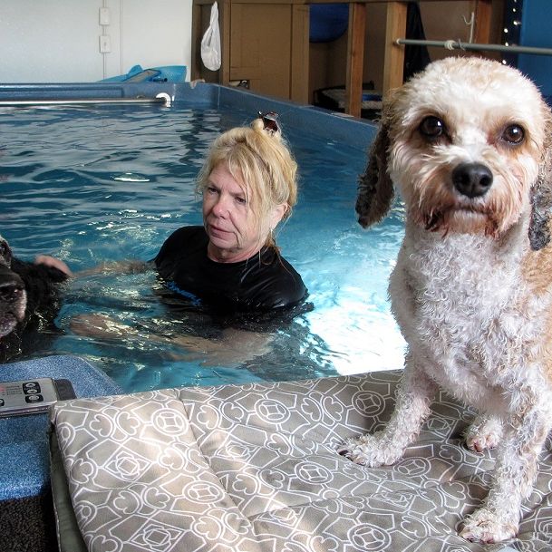 Auch Tiere sind jetzt im Fitnesswahn Auch Tiere sind jetzt im Fitnesswahn (Foto)