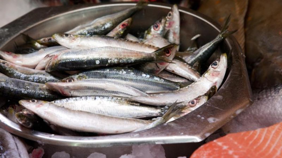 Fettreiche Fischsorten wie Makrele, Lachs oder Hering sind perfekte Lieferanten von Vitamin D. (Foto)