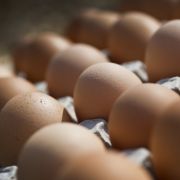 Eine Delikatesse auf den Philippinen und in Vietnam sind Balut. Eine Delikatesse auf den Philippinen und in Vietnam sind Balut.