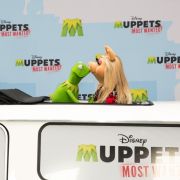 Auch nach über 30 Jahren lieben sich Kermit und Miss Piggy - auch ohne Trauschein. Auch nach über 30 Jahren lieben sich Kermit und Miss Piggy - auch ohne Trauschein.