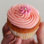 Eine 16-jährige Schülerin wehrt sich mit vermeintlich leckeren Cupcakes für jahrelanges Mobbing an ihren Mitschülern. Die Geheimzutat: Sperma.