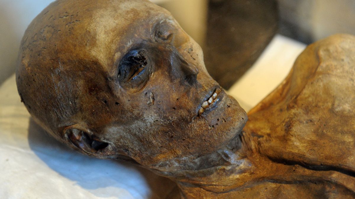 Mumifiziert Und Verwest Tochter Lasst Mutter Vier Jahre Verrotten News De