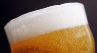 Amerikanische Studie: Bier fördert die Fruchtbarkeit.