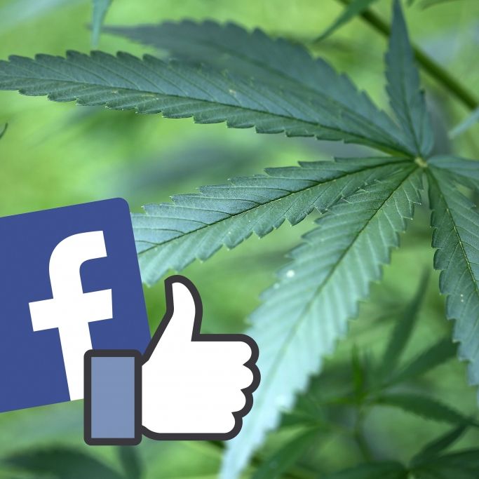 Facebook für Kiffer Facebook für Kiffer (Foto)
