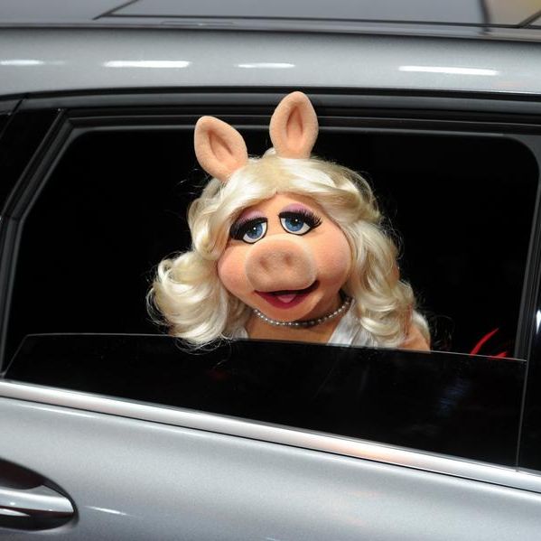 Muppet-Star Miss Piggy ist tief in ihrem Herzen Feministin Muppet-Star Miss Piggy ist tief in ihrem Herzen Feministin (Foto)