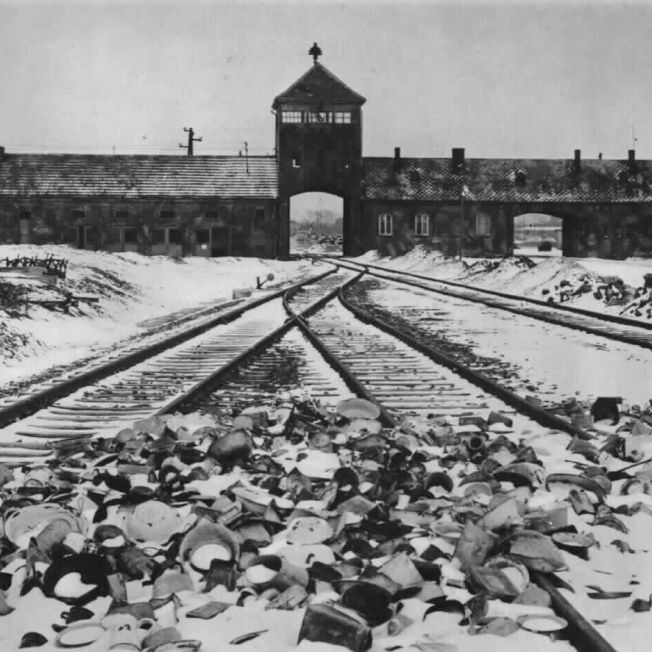 So sehr litten die Holocaust-Opfer in Auschwitz