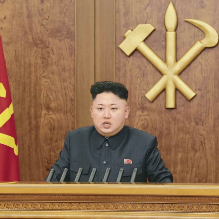 Kim Jong-un hat Porno-Panik!