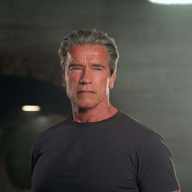 Arnold Schwarzenegger will Präsident werden Arnold Schwarzenegger will Präsident werden (Foto)