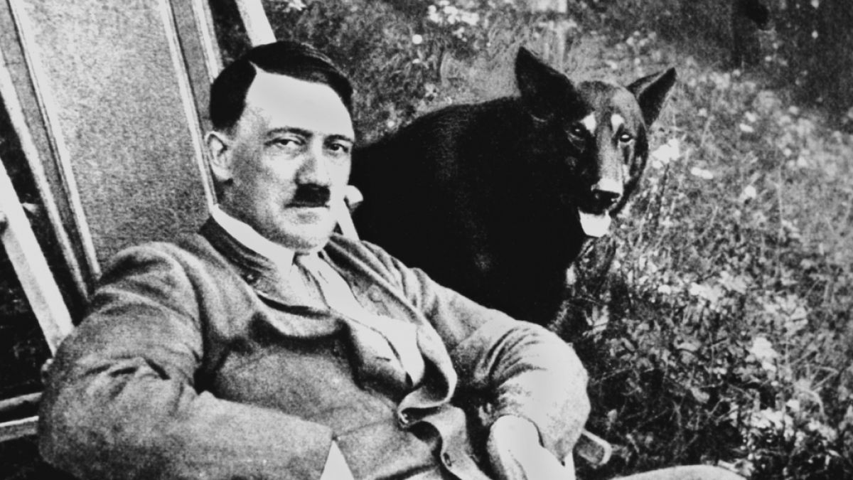Der nationalsozialistische "Führer" und deutsche Diktator Adolf Hitler mit seinem Hund (undatierte Aufnahme). (Foto)