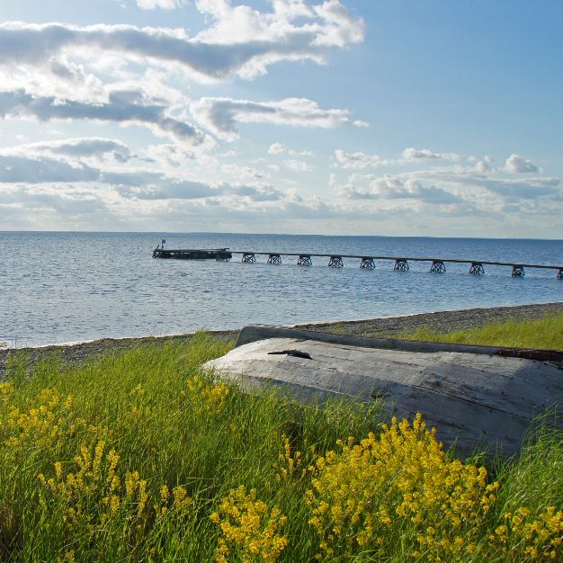 Darum lohnt sich ein Studium in Schweden Darum lohnt sich ein Studium in Schweden (Foto)