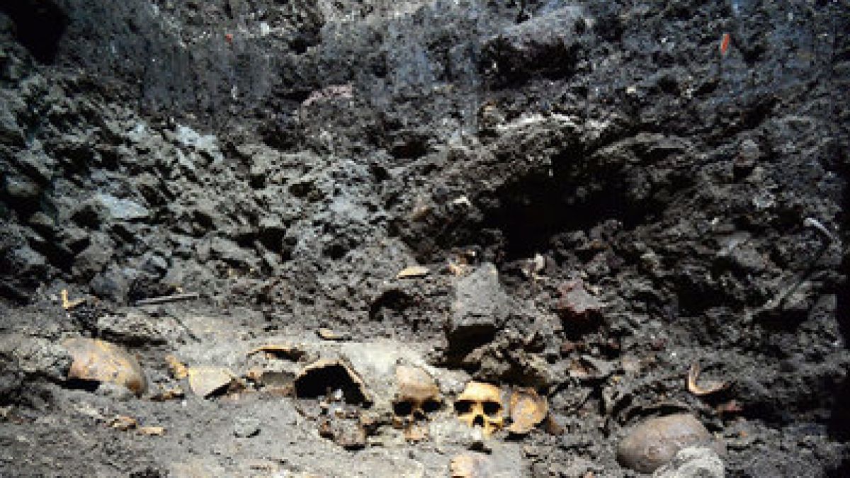 Die Überreste aus Menschenopfern bei Ausgrabungen nahe eines Azteken-Tempels. (Foto)