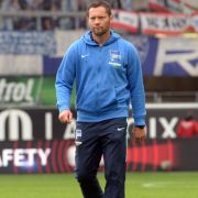 Herthas Rekordspieler und jetzigen Trainer: Pal Dardai Herthas Rekordspieler und jetzigen Trainer: Pal Dardai