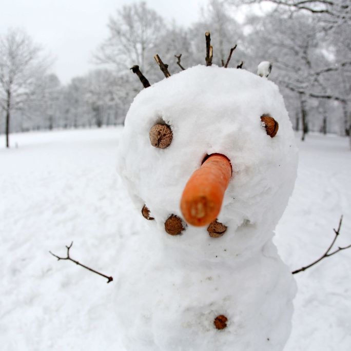 Weiße Weihnachten? Das sagen derzeit die Prognosen Weiße Weihnachten? Das sagen derzeit die Prognosen (Foto)
