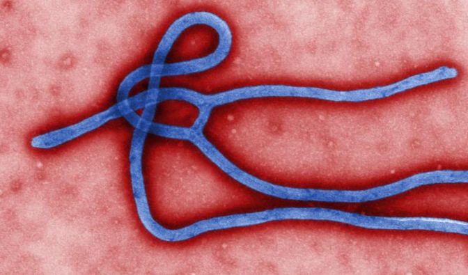 Syphilis, Tuberkulose, Ebola 2015